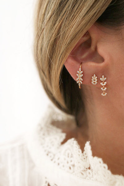 Boucle patria