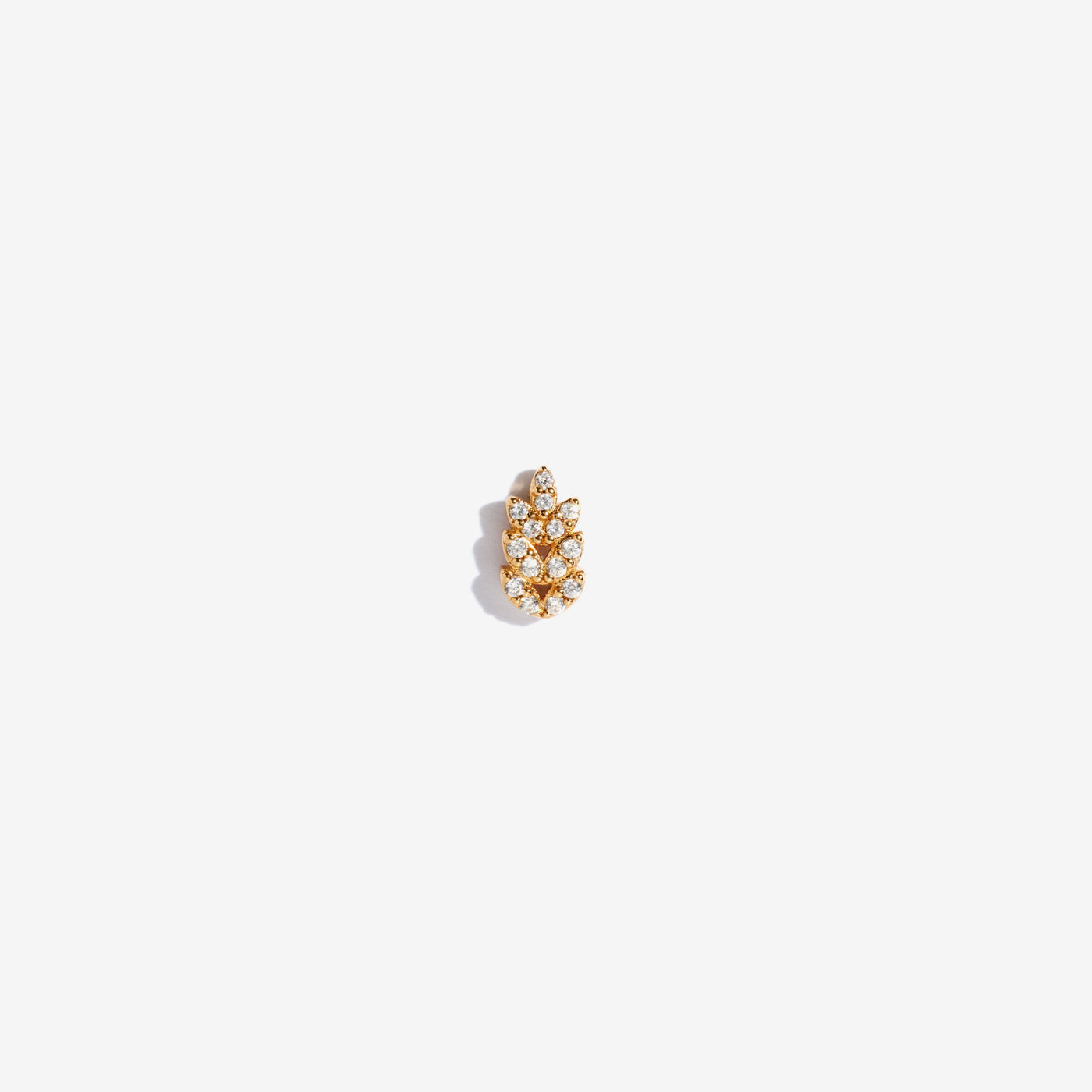 Boucle laurus