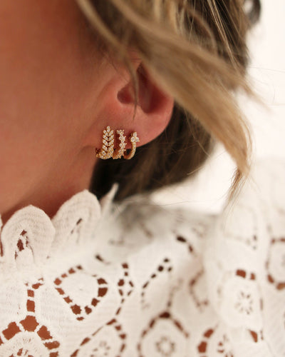 Boucle laurier
