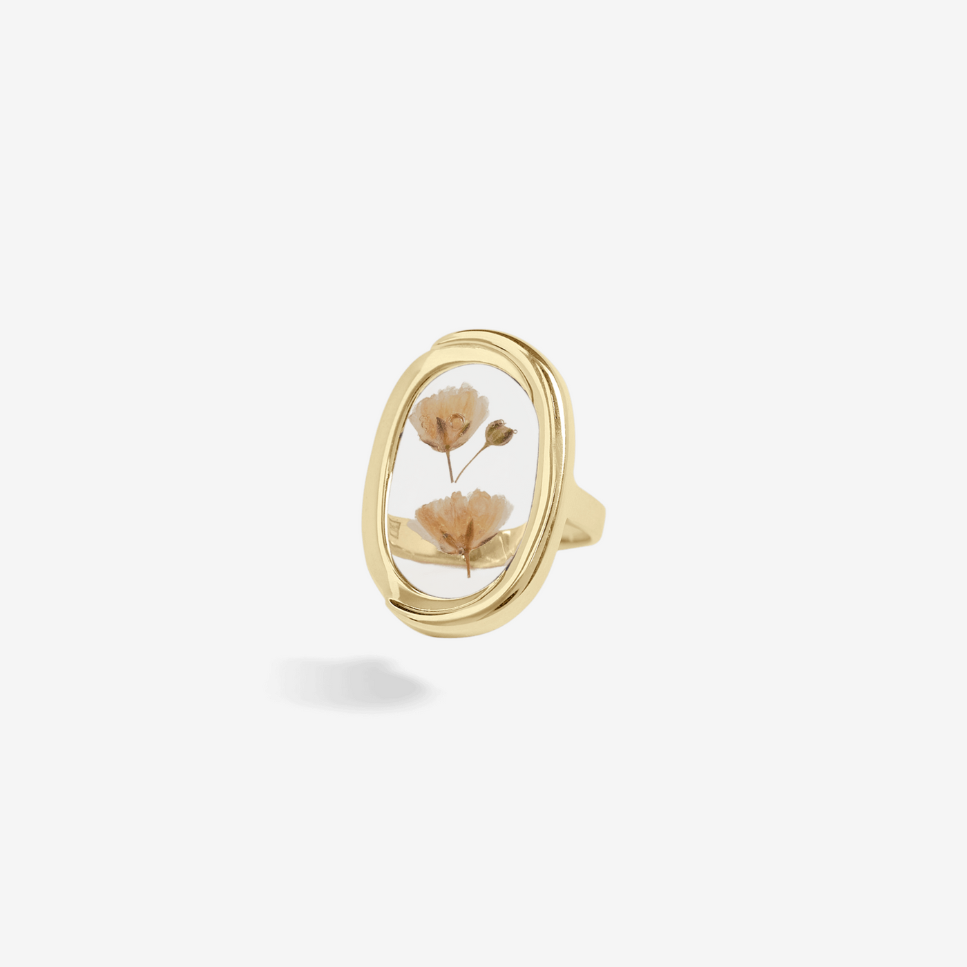 Ring agnes flower